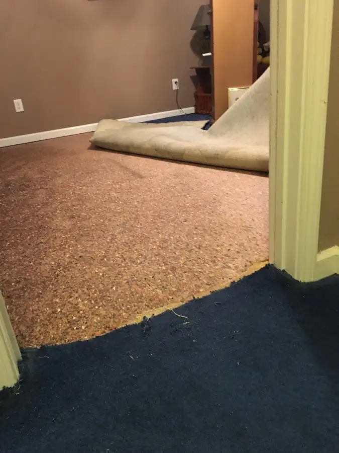 Carpet pad removal revealing water damage during Water Mitigation Services in Bridgetown