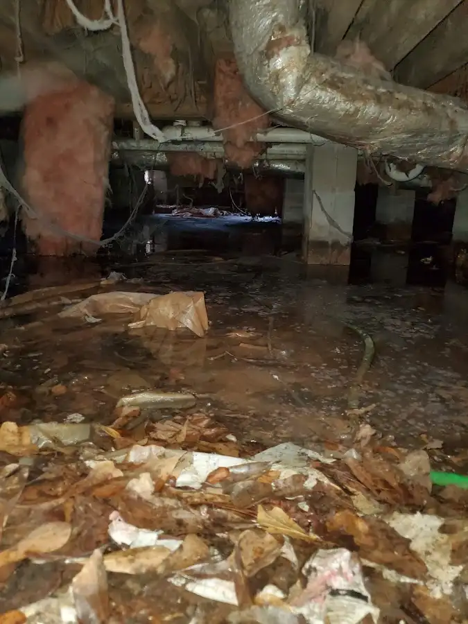 Crawl space flood assessment for Leak Detection & Repair in Bridgetown
